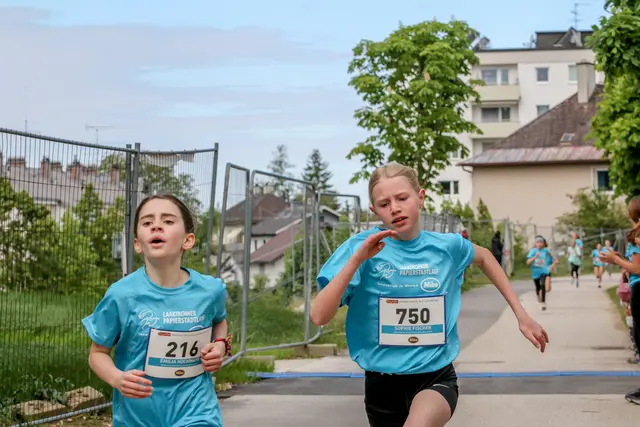 Foto: Hans Feitzinger