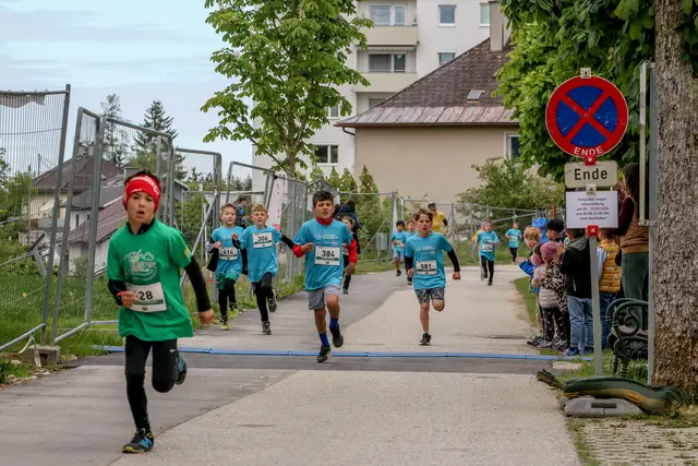 Foto: Hans Feitzinger