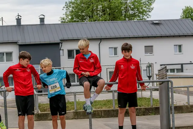 Foto: Hans Feitzinger