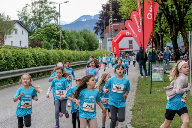 Foto: Hans Feitzinger