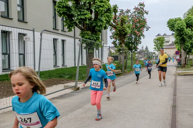 Foto: Hans Feitzinger