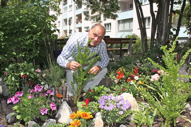 Hans Maczejka vor seinem kleinen Gartenkunstwerk im Gemeindebau im Jahr 2010. MeinBezirk hat den Hobbygärtner mehrmals besucht. | Foto: Karl Pufler