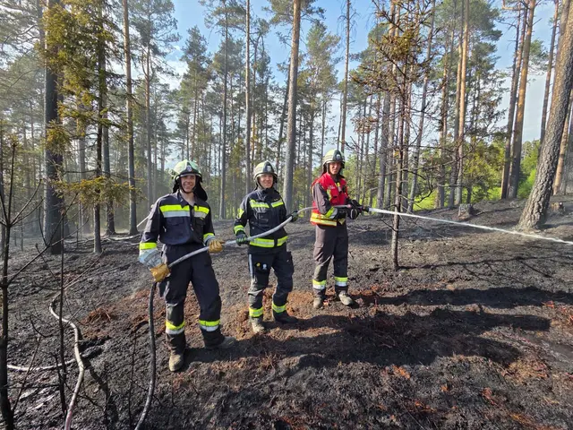 Löscharbeiten bei Waldbrand in Tschechien | Foto: FF Karlstein