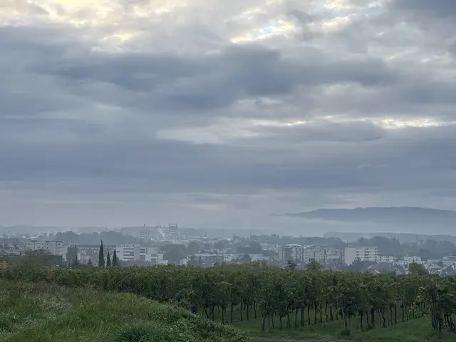 Foto: sg