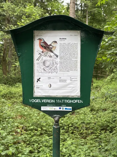 Foto: MeinBezirk/Anja Kern