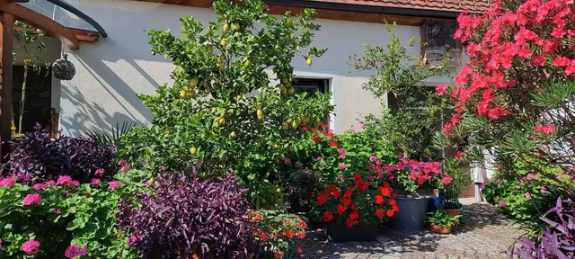 Riegler Klinger Anna und Johann, Königstetten NÖ. | Foto: Riegler Klinger Anna und Johann, Königstetten NÖ.