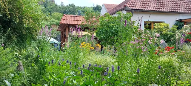 Riegler Klinger Anna und Johann, Königstetten NÖ.