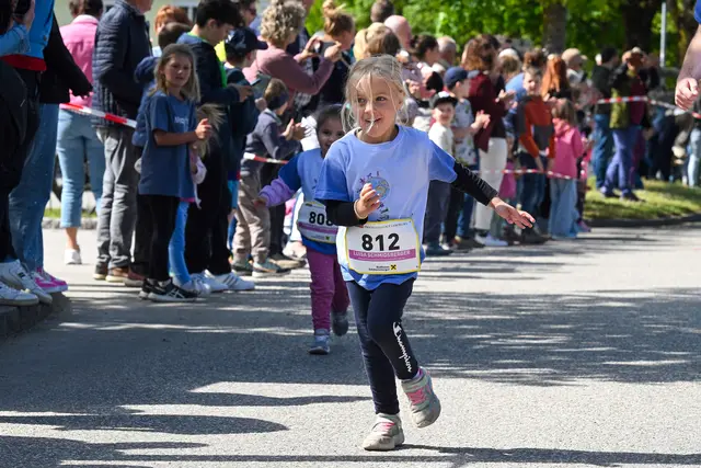 Foto: Wolfgang Spitzbart