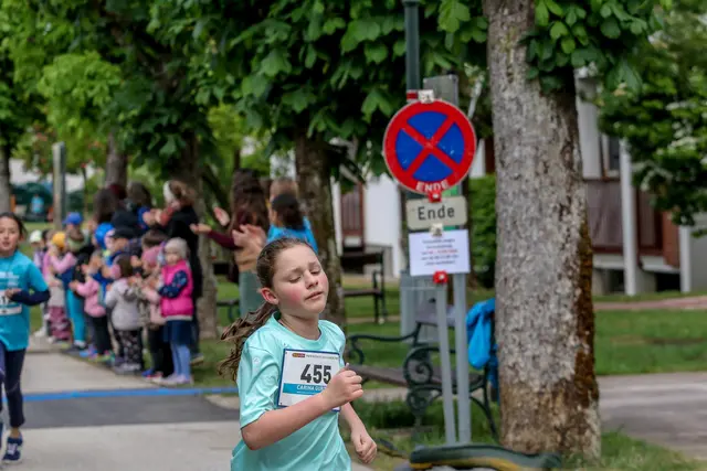 Foto: Hans Feitzinger