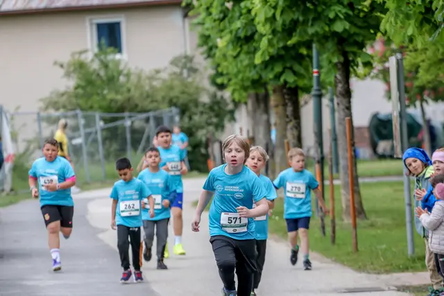 Foto: Hans Feitzinger