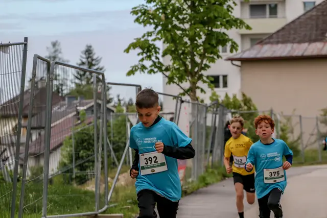 Foto: Hans Feitzinger