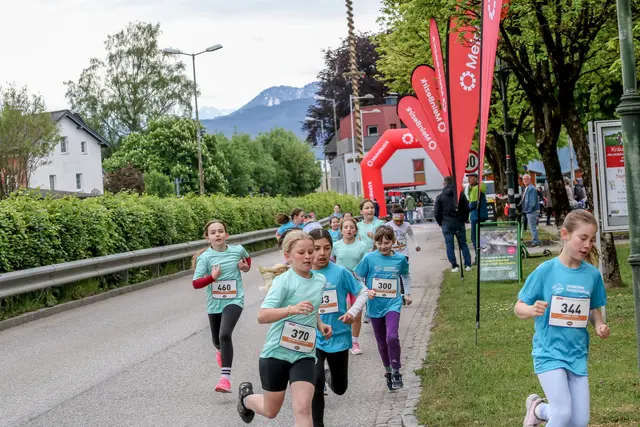 Foto: Hans Feitzinger