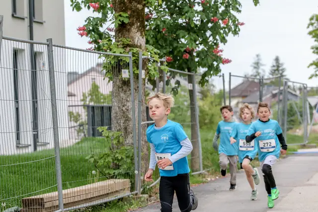Foto: Hans Feitzinger