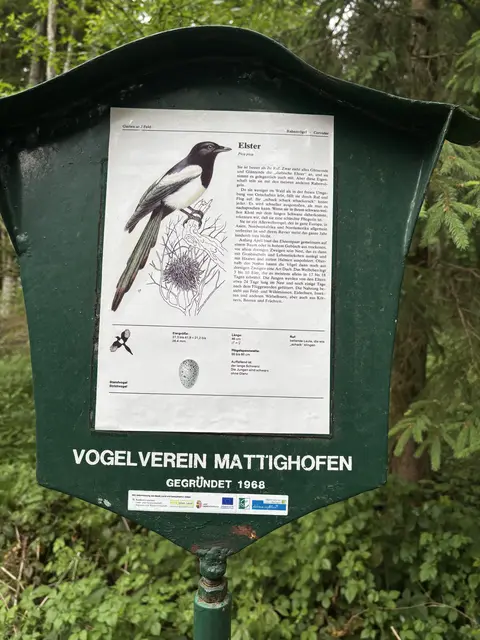 Foto: MeinBezirk/Anja Kern