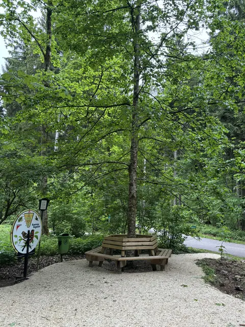 Foto: MeinBezirk/Anja Kern