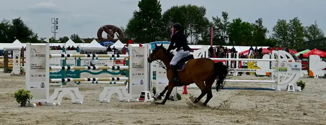 Springreiten 