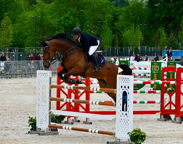 Springreiten