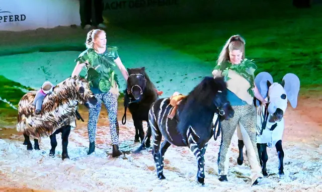 "Urwaldrennen" - Ponys in verschiedenen Kostümen: Tiger, Elefant, Löwe und Zebra. 