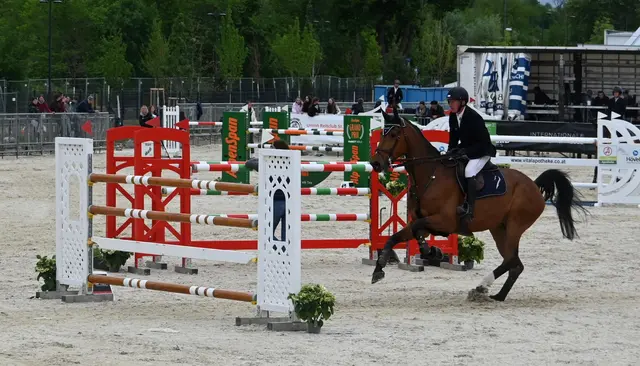 Springreiten