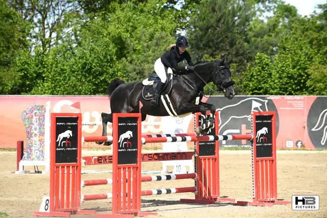Reiter-Duo beim Sprung über 140cm | Foto: Bernd Haider