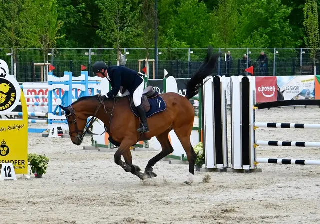 Springreiten