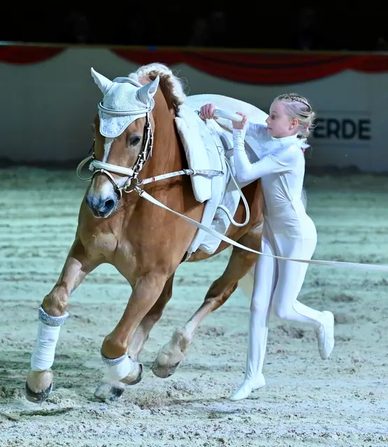 Voltigieren Ingelsberg