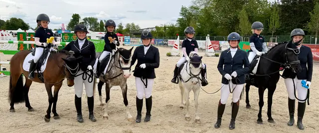 Österreichisches Reitpony 