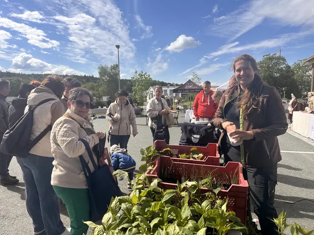 Foto: Lisa Stöckl