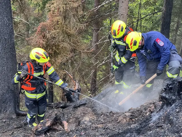 Etwa 2.000 Feuerwehrkräfte wurden von Landwirten, der Polizei, dem Bundesheer, der Bergrettung, den Behörden und der Bevölkerung unterstützt. | Foto: Bezirksfeuerwehrkommando Hermagor