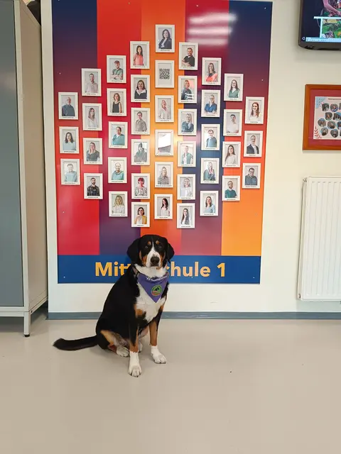 Die Hündin Coco in der Mittelschule Deutschlandsberg.