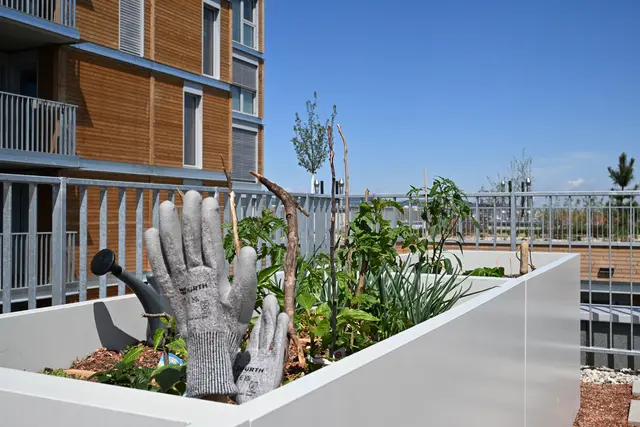 Ein besonderer Schwerpunkt liegt auf der Biodiversität: Dazu gehörten Tipps für mehr Vielfalt am Balkon, Informationen zur Stadtnatur sowie Beratungen zur Begrünung von Fassaden, Dächern und Innenhöfen. | Foto: Matthias Pandrea/Mein Bezirk