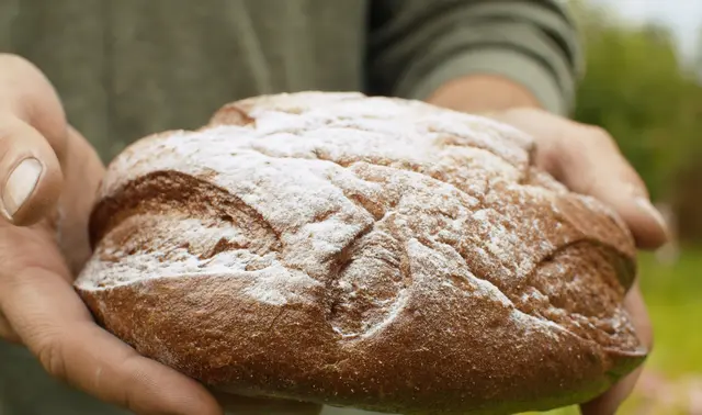 Die Biobackstube "Hafner zu Wanzbach" produziert hefereduziertes Brot und Gebäck sowie Brioche und Mohnstrudel aus langer Teigführung. | Foto: Foto: PantherMedia/Alize (YAYMicro)