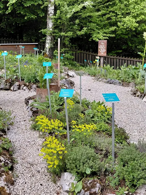 Kräutergarten  | Foto: H.Bachinger