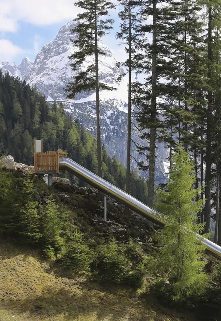Sechs verschiedene Waldrutschen führen von der Bergstation der Wettersteinbahn durch den Wald hinab zur Talstation. | Foto: Ehrwalder Wettersteinbahnen