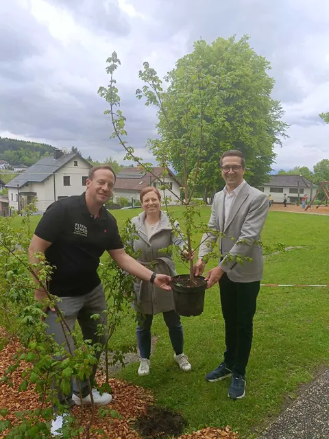 Jan Gockell, Obmann des Elternvereins Ampflwang, Sybille Chiari, KEM Managerin und Schulleiter Stefan Volgger (v.l.). | Foto: Elternverein VS Ampflwang 