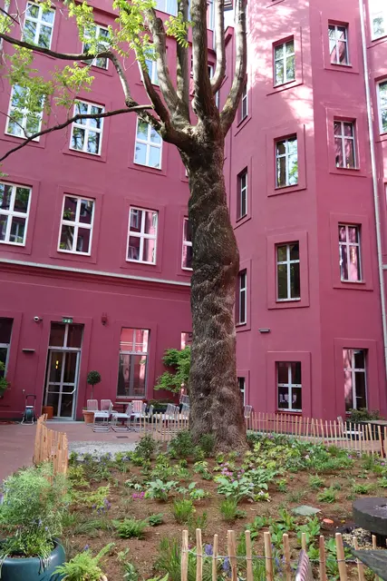 Foto: Patricia Hillinger/MeinBezirk