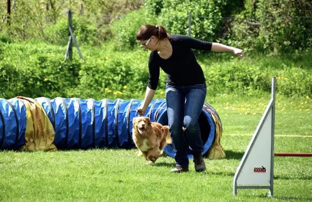 Am 30. Mai gibt es beim HSV Pernau alles zu den Themen Hunde und Hundesport beim Tag der offenen Türe. | Foto: HSV