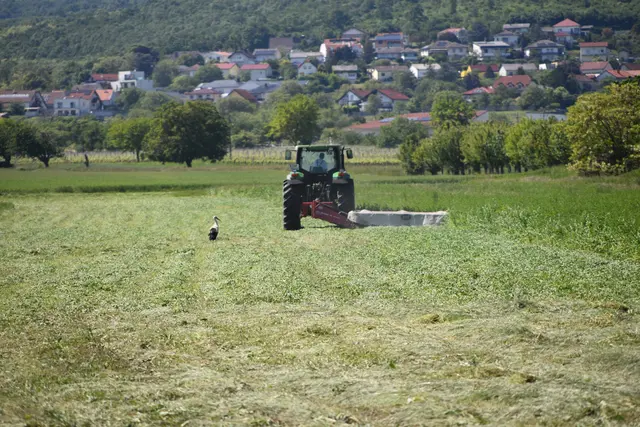 Foto: Stefan Schneider/MeinBezirk