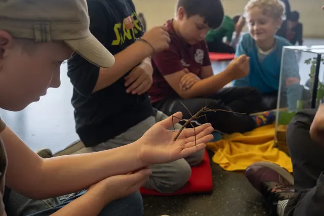 Bald geht die heurige Kinderuni Hagenberg über die Bühne. | Foto: Sophie Rieger