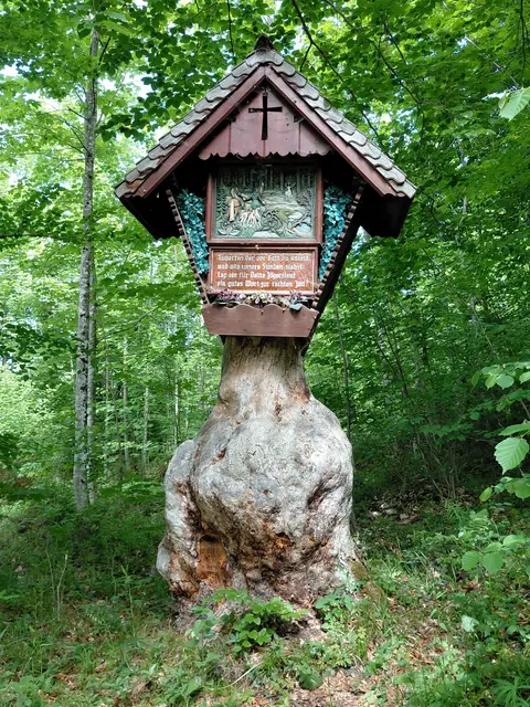 Foto: H.Bachinger