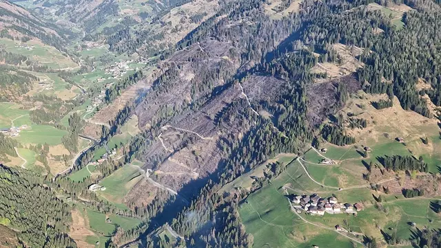 Etwa 110 Hektar Wald waren von dem Brand betroffen. | Foto: ABI Robert Koppensteiner
