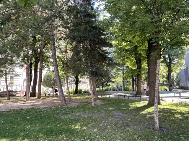 Unter dem Titel „grenzen“ begeben sich die Teilnehmerinnen und Teilnehmer von 17 bis 18 Uhr auf einen geführten Hörspaziergang durch den Josef-Strauß-Park. | Foto: Miriam Al Kafur