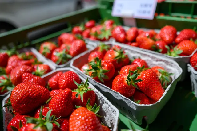 Frische und voller Geschmack: Das versprechen die Erdbeeren aus Oberösterreich. | Foto: Hoffelner