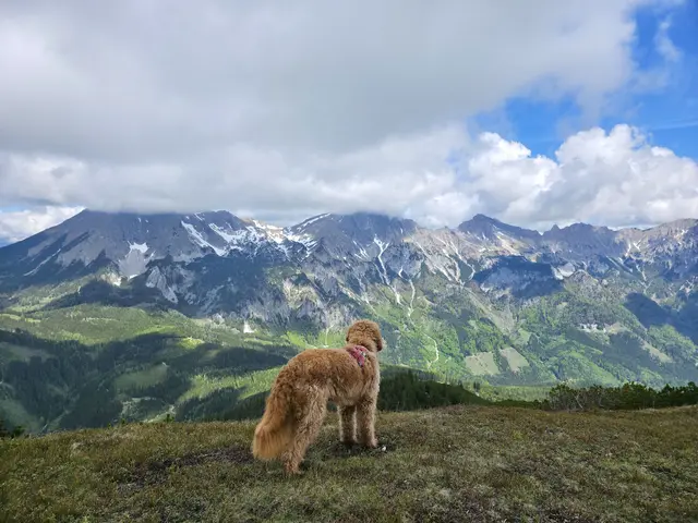 Die neue Woche bringt in der Steiermark überwiegend freundliches Frühlingswetter. Zeitweise bleibt es allerdings wechselhaft mit Schauern, Gewittern und Wind. | Foto: Christian Hahn