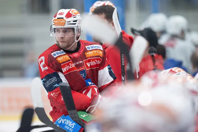 Mit David Maier kommt viel Eishockey-Erfahrung nach Graz. 