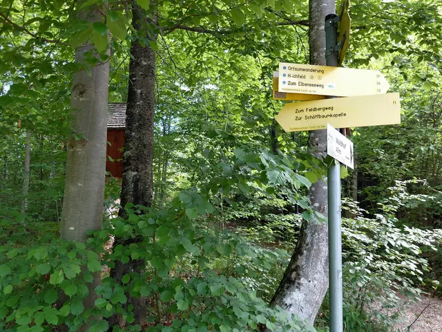 Foto: H.Bachinger