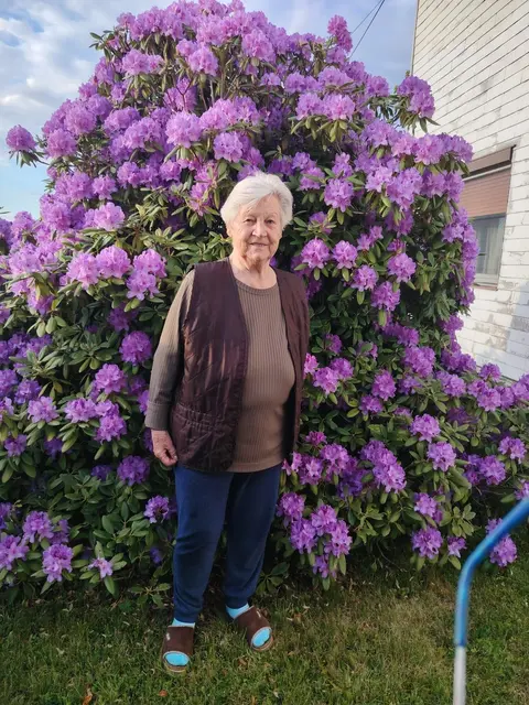 Rosi Niederhauser mit ihrem schönen Rhododendron.