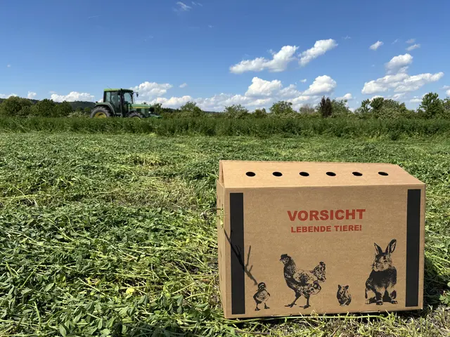 Foto: Stefan Schneider/MeinBezirk