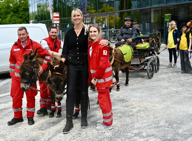 RettungssanitäterInnen Wels und IA Austria Gespann mit Katja Schnabl - VOX PFERDEPROFI - Pferdetraining.