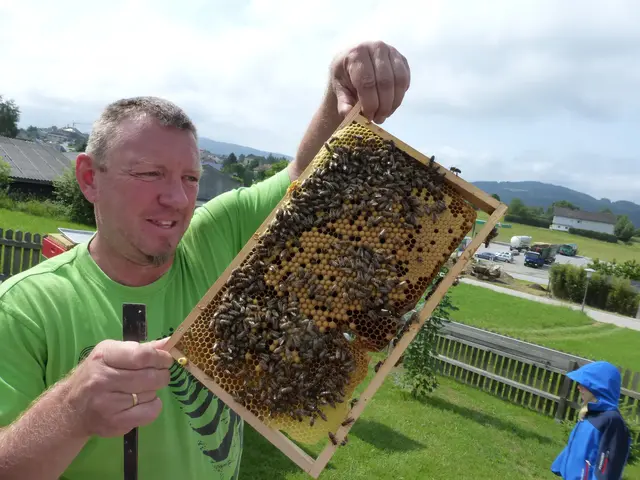 Hansjörg Hofmann möchte schon junge Leute für die Bienen begeistern und bietet als Lehrer an der Bioschule Schlägl Bio-Imkerei als Schulfach an. | Foto: Hofmann